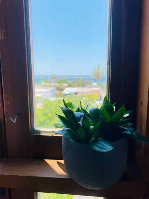 Casa Bahia 2 Blocks Malecon Amaizing Ocean View Apartment La Paz