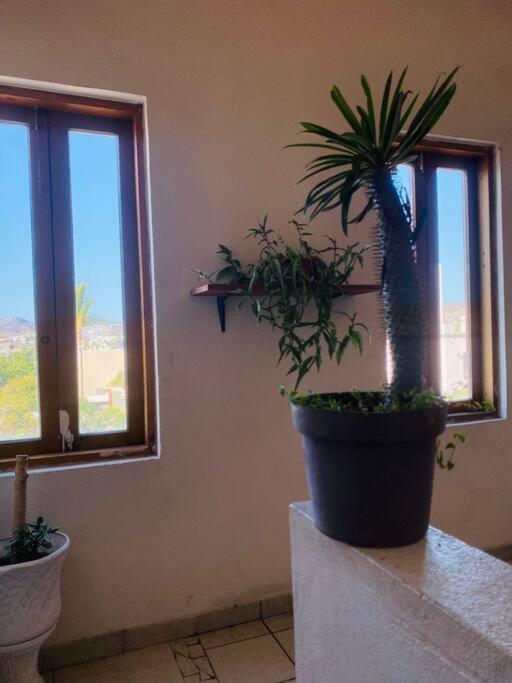 Apartment Casa Bahia 2 Blocks Malecon Amaizing Ocean View